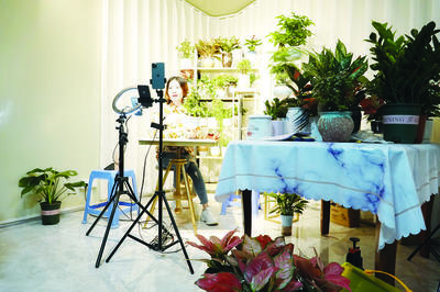 奮進(jìn)“十四五”開啟新征程，以花卉產(chǎn)業(yè)為筆，奮力譜寫富美新漳州現(xiàn)代化建設(shè)新篇章